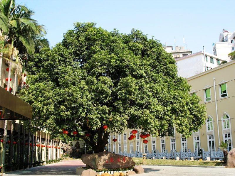 Hilford Hotel Сямень Екстер'єр фото